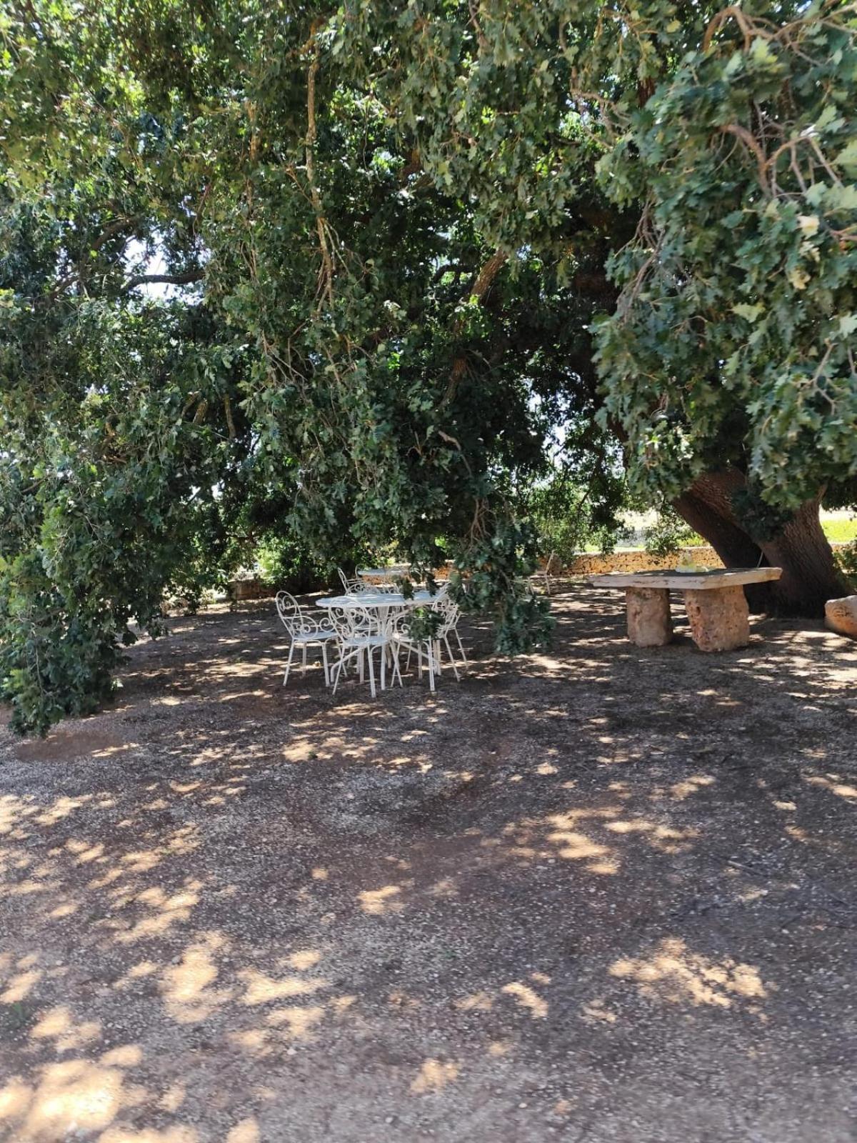 Masseria Palmo Francavilla Fontana Extérieur photo